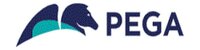 PEGASYSTEMS INC